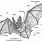 Bat Anatomy Diagram