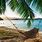 Beach Hammock On Palm Trees
