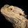 Bearded Dragon Pics