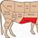 Beef Cattle Parts