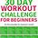 Beginner 30-Day Challenge