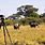 Best African Photo Safari Tours