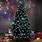 Best Fiber Optic Tree