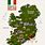 Best Ireland Map