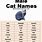 Best Male Cat Names