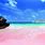 Best Pink Beach Bermuda