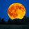 Big Orange Moon
