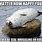 Big Seal Meme