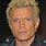 Billy Idol Hairstyle