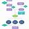 Biology Flow Chart