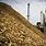 Biomass Production