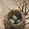 Bird Nest Artwork