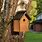 Bird Nest House