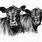 Black Angus Cow Head Clip Art