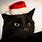 Black Cat Christmas Funny