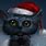 Black Cat Christmas Wallpaper