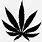 Black Marijuana Leaf