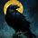 Black Raven Artwork