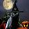 Black Witch Cat Halloween
