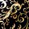 Black and Gold Fabric