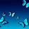 Blue Butterfly Background Images