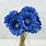 Blue Silk Flowers