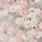 Blush Pink Flower Background