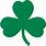 Boston Celtics Logo Leaf