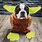 Boston Terrier Halloween