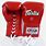 Boxing Gloves Amazon