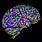 Brain Neuron Map