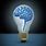 Brain Thinking Light Bulb