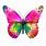 Bright Pink Butterfly Real