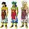 Broly Forms