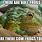 Bull Frog Meme