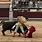 Bull Matador Funny