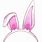 Bunny Ears Headband PNG