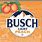 Busch Peach Logo