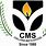 CMS IMS Logo