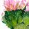 Cactus Flowers Watercolor
