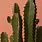 Cactus Laptop Wallpaper