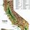 California Topographical Map