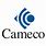 Cameco Logo