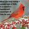 Cardinal Bird Signs