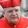 Cardinal Burke Pope