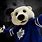 Carlton Bear Maple Leafs