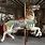 Carousel Horses and Animals Images Of