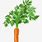 Carrot Plant Clip Art