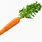 Carrot Stock