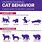 Cat Behaviour Chart